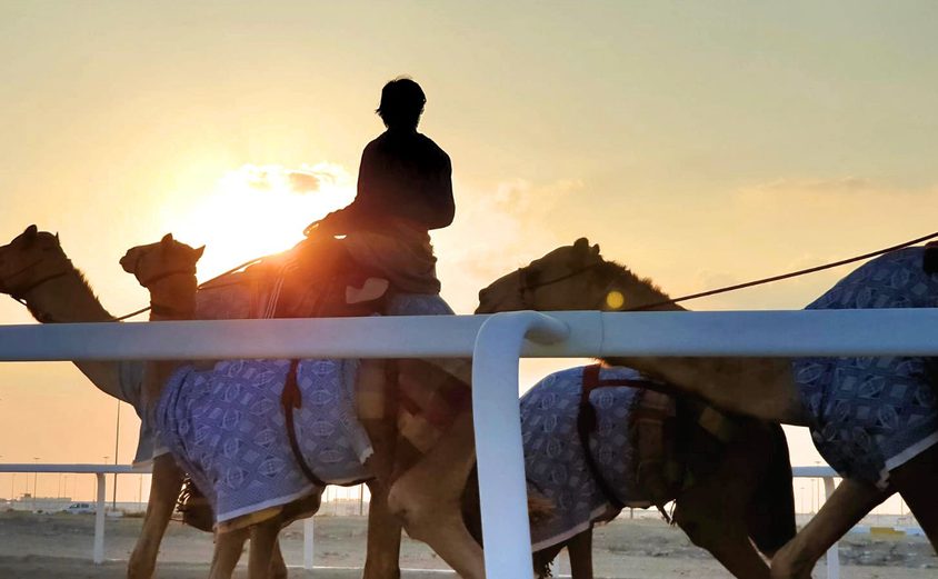 1st Anushka S Wildlife