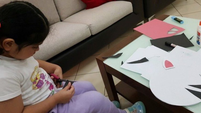 FS1 Syria 26 March 2020