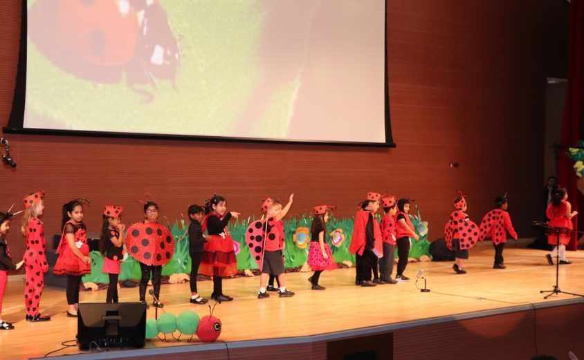 Oryx Celebrates Year 1 2020 1