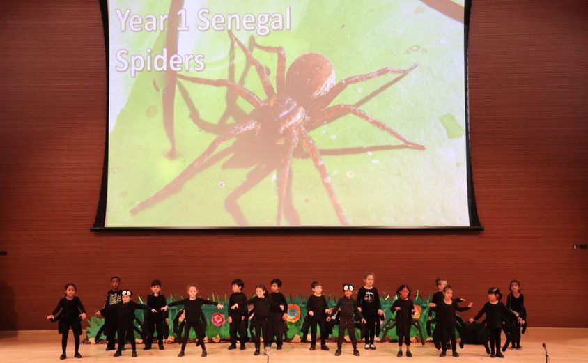 Oryx Celebrates Year 1 2020 5