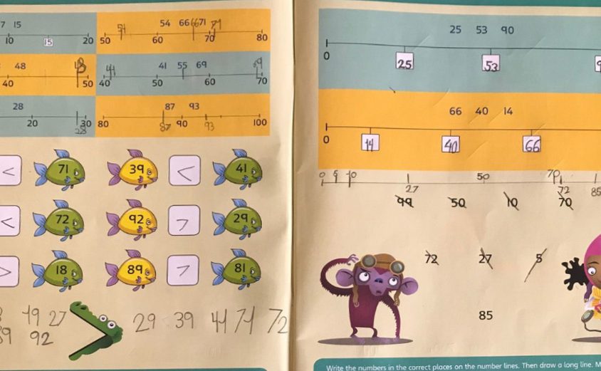 Primary Y2 News Letter 4