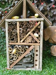 Ranahas Bug Hotel 2