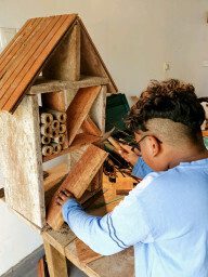 Ranahas Bug Hotel