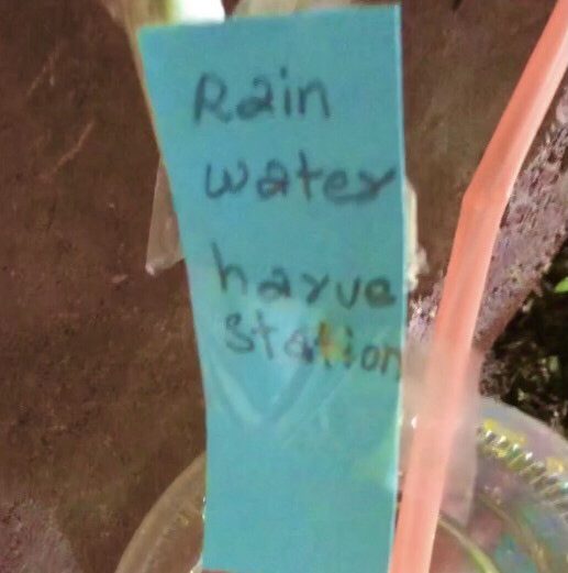 SC Projects May 2021 03